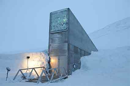 global seed vault