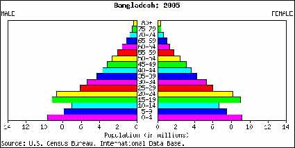 population pyramid